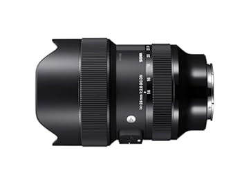 Other - 【中古】［非常に良い］シグマ(Sigma) SIGMA シグマ Lマウント レンズ 14-24mm F2.8 DG DN ズーム 広角 フルサイズ Art ミラーレス 専用