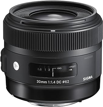 【中古】シグマ(Sigma) SIGMA 30mm F1.4 DC HSM | Art A013 | Sony Aマウント | APS-C/Super35