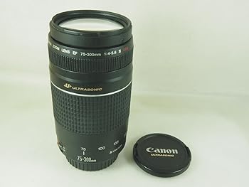 【中古】Canon AFレンズ EF 75-300mm F4-5.6 III USM