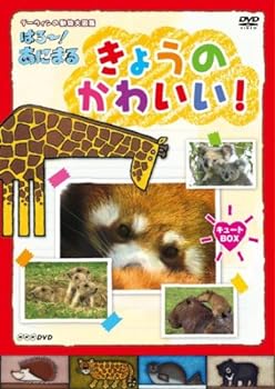 【中古】NHKDVD ダーウィンの動物大図鑑 はろ~!あにまる きょうのかわいい! キュートBOX