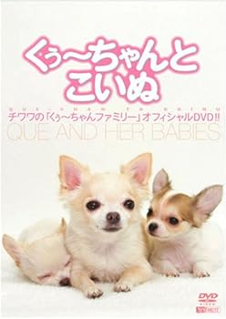 【中古】シンフォレストDVD くぅ~ちゃんとこいぬ チワワの「くぅ~ちゃんファミリー」オフィシャルDVD!!