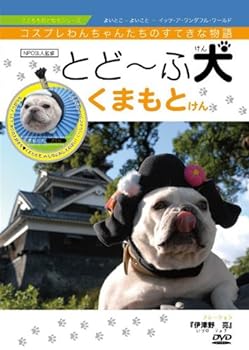 【中古】とどーふ犬 くまもとけん [DVD]