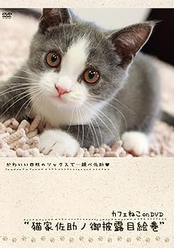 【中古】カフェねこonDVD 猫家佐助ノ御披露目絵巻