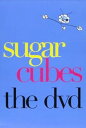 【中古】the dvd