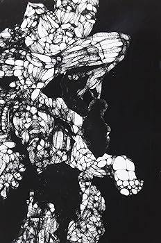 楽天市場】the gazette film bug iiの通販