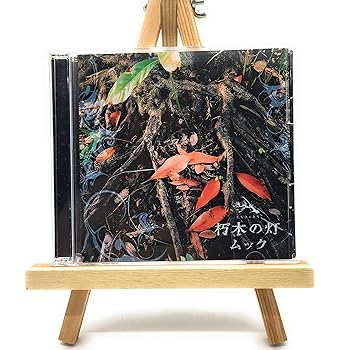 【中古】朽木の灯(初回)(DVD付)
