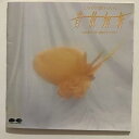 【中古】音故知新 ときめきの歌があった