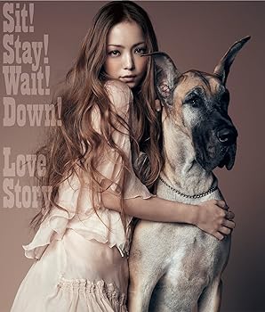 【中古】Sit! Stay! Wait! Down!/Love Story(DVD付)