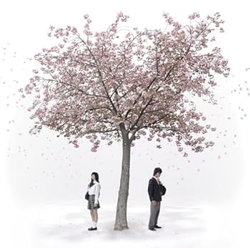 【中古】終わりと始まり/Lost Boy