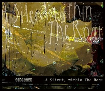 A Silent,within The Roar(初回限定盤)(DVD付)