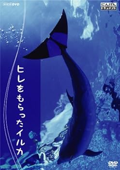 【中古】にんげんドキュメント ヒレをもらったイルカ [DVD]