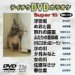 【中古】テイチクDVDカラオケ スーパー10