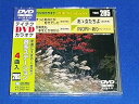 【中古】テイチクDVDカラオケ 音多Station