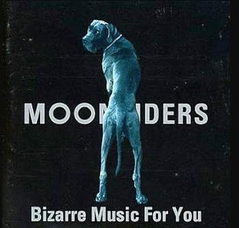 【中古】Bizarre Music For You