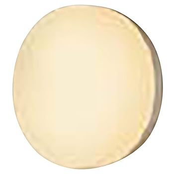 【中古】パナソニック(Panasonic) ブラケットライト LED 業務用浴室向け 防湿・防雨型 2700K NNN14000LE1 【中古】パナソニック(Panasonic) ブラケットライト LED 業務用浴室向け 防湿・防雨型 2700K NNN14000LE1