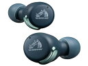【中古】JVCケンウッド Victor HA-A30T ワイヤレスイヤホン bluetooth ノイズキャンセリング 外音取込み機能 マイク付き 防水 低遅延 テレワーク 本体質(2)