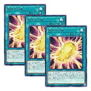 【中古】【 3枚セット 】遊戯王 日本語版 DP19-JP009 Cocoon of Ultra Evolution 超進化の繭 (レア)