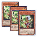【中古】【 3枚セット 】遊戯王 日本語版 DP18-JP008 アマゾネス王女 (ウルトラレア)