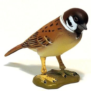 ����šۿ��� ���祳Q ���ܤ�ưʪ ��6�� 167 ������