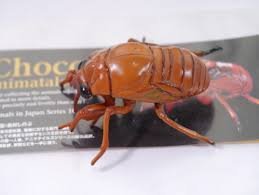 【中古】食玩 タカラ チョコQ 日本の動物 第10弾 233b.アブラゼミ(幼虫)羽化直前状態