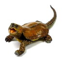 【中古】食玩 すばる堂 チョコQ 日本の動物 第11弾 SP-a オオアタマガメa