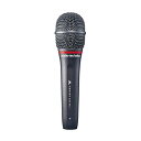 【中古】オーディオテクニカ AE6100 ダイナミックマイク XLR 超単一指向性マイク ボーカル ライブ DTM マイクホルダー付属 マイクポーチ付属 【国内...