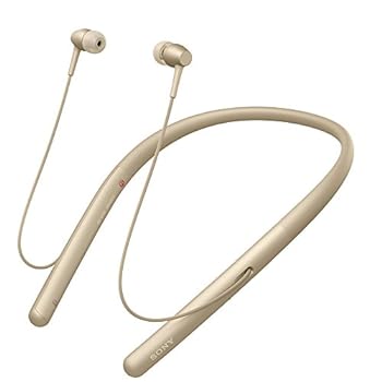【中古】ソニー ワイヤレスイヤホン h.ear in 2 Wireless WI-H700 : Bluetooth/ハイレゾ対応 最大8時間連続再生 カナル型 マイク付き 2017年モデル 360 R