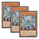 【中古】【 3枚セット 】遊戯王 日本語版 SOFU-JP025 Chaos Dragon Levianeer 混源龍レヴィオニア (シークレットレア)