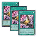 【中古】【 3枚セット 】遊戯王 日本語版 ROTD-JP062 Triple Tactics Talent 三戦の才 (シークレットレア)