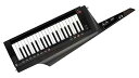 【中古】KORG(コルグ)キーター シンセサイザー ステージキーボード 電池駆動 RK-100S 2BK トランスルーセント・ブラック