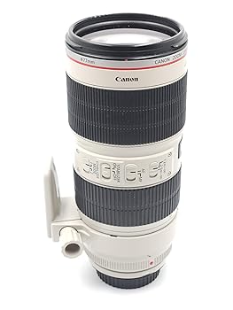 【中古】Canon 望遠ズームレンズ EF70-200mm F2.8L IS II USM フルサイズ対応 【中古】Canon 望遠ズームレンズ EF70-200mm F2.8L IS II USM フルサイズ対応