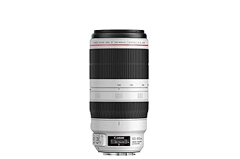 【中古】Canon キヤノン 望遠ズームレンズ EF100-400mm F4.5-5.6L IS II USM フルサイズ対応 EF100-400LIS2
