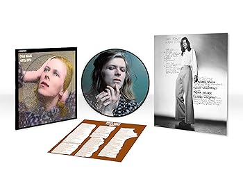 【中古】HUNKY DORY [50TH ANNIVERSARY PICTURE DISC VINYL] [Analog]