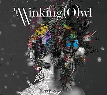 BLOOMING - The Winking Owl