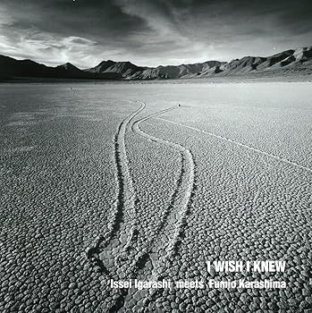 【中古】I Wish I knew