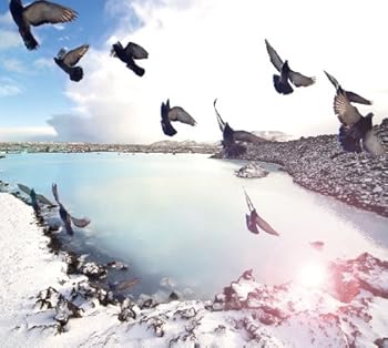 【中古】Interiors