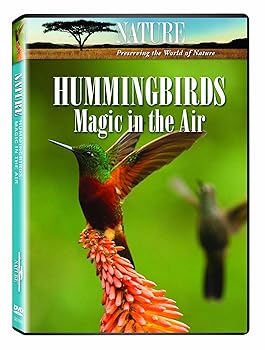 【中古】Nature: Hummingbirds [DVD]