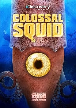 【中古】Colossal Squid [DVD]