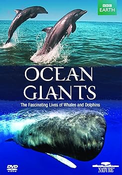 【中古】Ocean Giants [DVD]