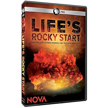 【中古】Nova: Life's Rocky Start [DVD] [Import]