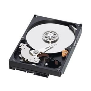 251〜300GB - 【中古】WESTERN DIGITAL 3.5インチ内蔵HDD 250GB SATA/6.0Gb 7200rpm 16MB WD2500AAKX-R