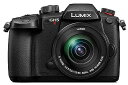 【中古】パナソニック(Panasonic) ミラーレス一眼カメラ ルミックス GH5M2 レンズキット 標準ズームレンズ付属 ブラック DC-GH5M2M