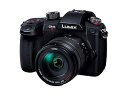 【中古】パナソニック(Panasonic) ミラーレス一眼カメラ ルミックス GH5M2 レンズキット 高倍率ズームレンズ付属 ブラック DC-GH5M2H