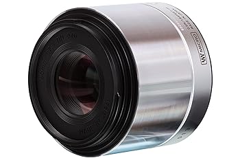 楽天市場】sigma 60mm f2．8 dn ソニーeの通販