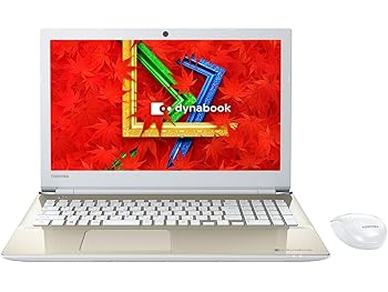 ����š���� dynabook T45/AG