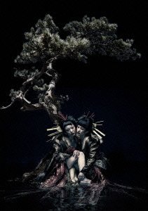 【中古】the GazettE LIVE TOUR 12-13【DIVISION】FINAL MELT LIVE AT 03.10 SAITAMA SUPER ARENA DVD