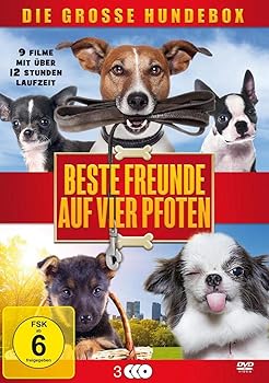 【中古】Beste Freunde auf vier Pfoten