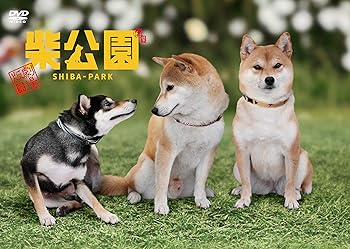 【中古】劇場版 柴公園 [DVD]