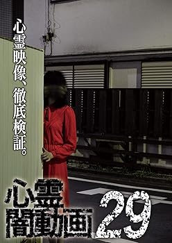 【中古】心霊闇動画29 [DVD]