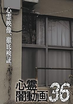 【中古】心霊闇動画36 [DVD]